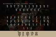 Sorcha Display font + Swashes, a Font by VP Fonts (Thumbnail 13 of 14)