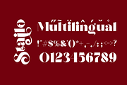 Stailo, a Serif Font by zaaintype (Thumbnail 6 of 12)