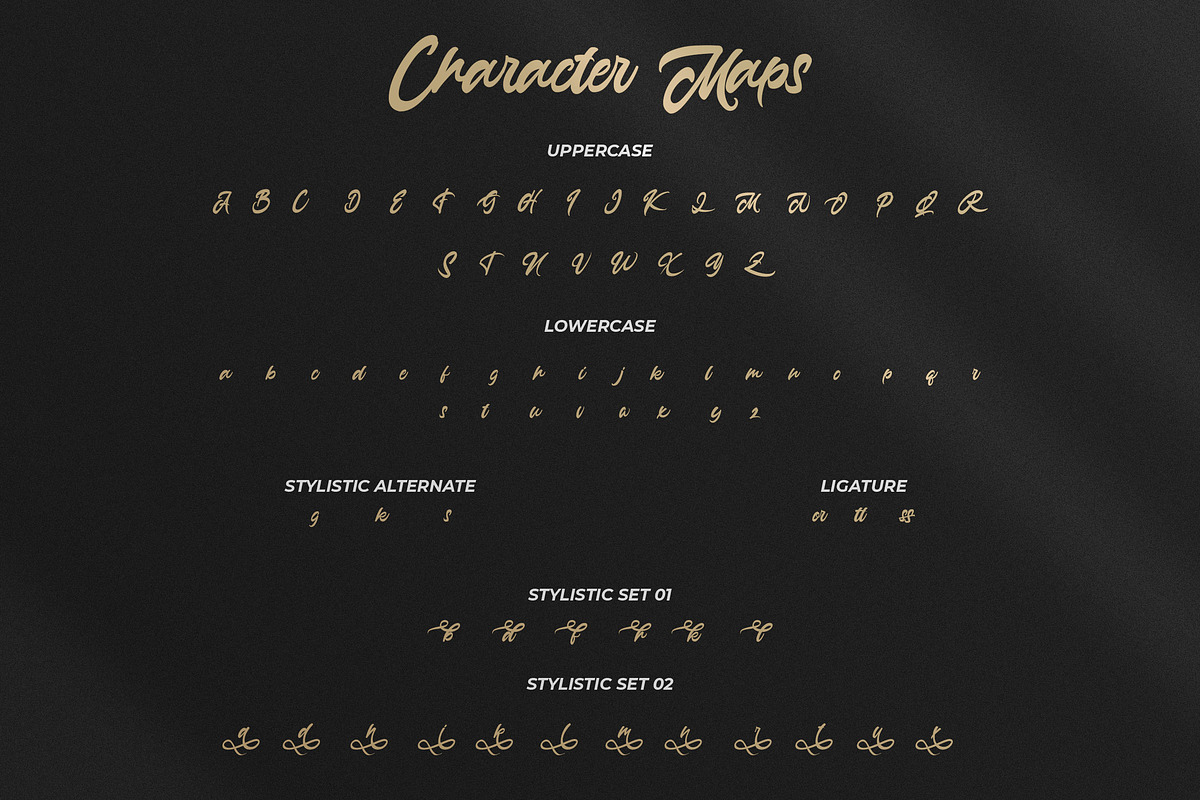 Anasite Malela - Bold Script Font, a Script Font by StringLabs (Photo 9 of 11)
