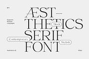 Aesthetic sE, a Serif Font by silukEight (Thumbnail 1 of 10)