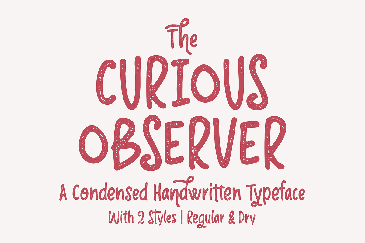 Curious Observer | Regular & Dry, a Sans Serif Font by Ayca Atalay (Photo 1 of 11)