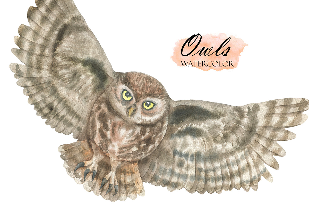 Watercolor Owls, an Animal Illustration by OlDm_Shop (Photo 3 of 5)