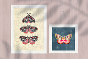 Night Moths, Butterflies Vector Set, a Graphic by Iraida_Bearlala (Thumbnail 5 of 5)