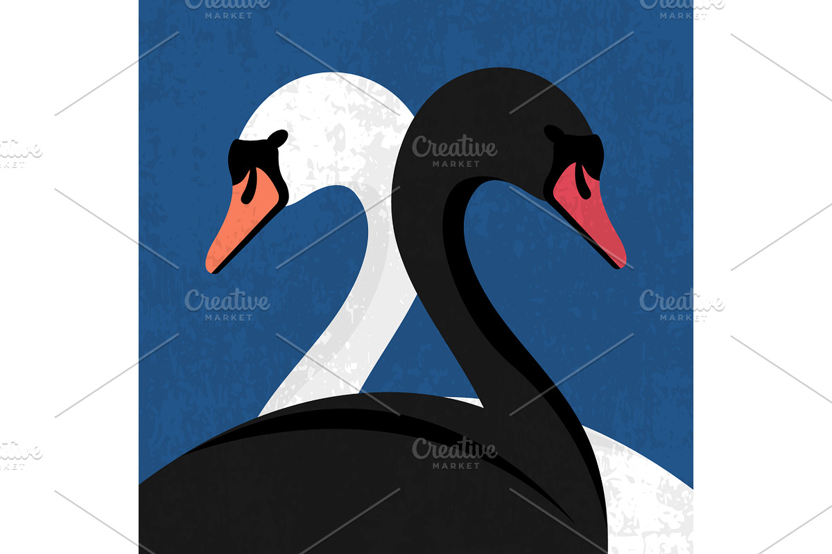 Black and White Swans, an Animal Illustration by PsychocheArt (Photo 1 of 3)