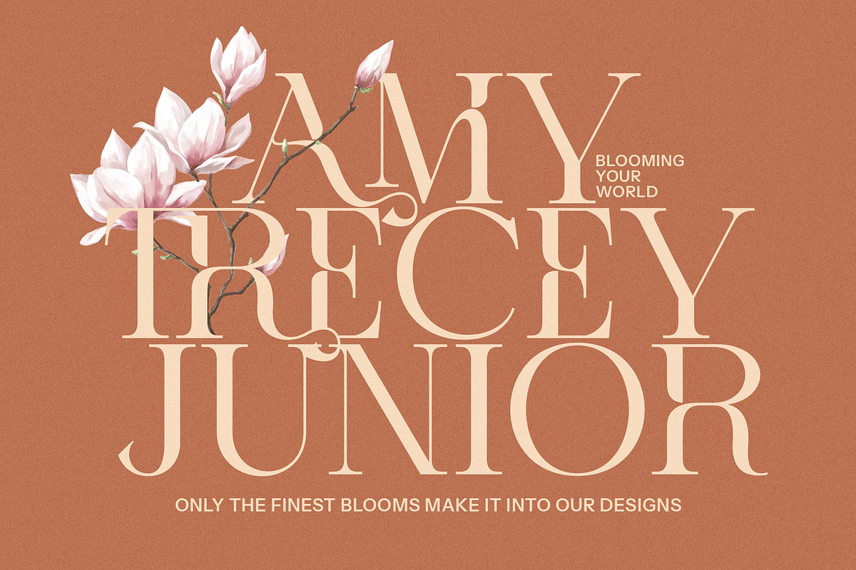 Rifah Elegant Serif Font, a Serif Font by Perfectype (Photo 3 of 8)