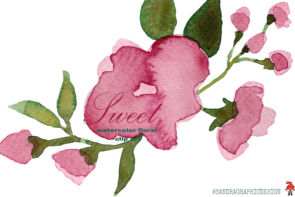 Floral watercolor clip art Sweet, an Illustration by SandraGraphicDesign (Photo 4 of 5)
