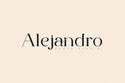The Cartel - Elegant Serif Font, a Serif Font by Say Studio (Thumbnail 10 of 19)