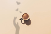 Natural Shadow Play Overlays, a Texture Graphic by Feather & Sage Design (Thumbnail 11 of 17)