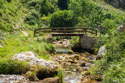 Wood bridge in Picos de Europa, Asturias, Spain, a Nature Photo by GoodGoods