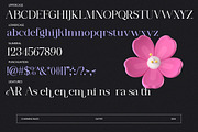 Charming Blues, a Serif Font by Gatype (Thumbnail 10 of 11)