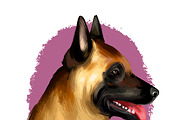 Most Popular Dog Breeds Pet Portrait, an Animal Illustration by Dneprstock (Thumbnail 4 of 23)