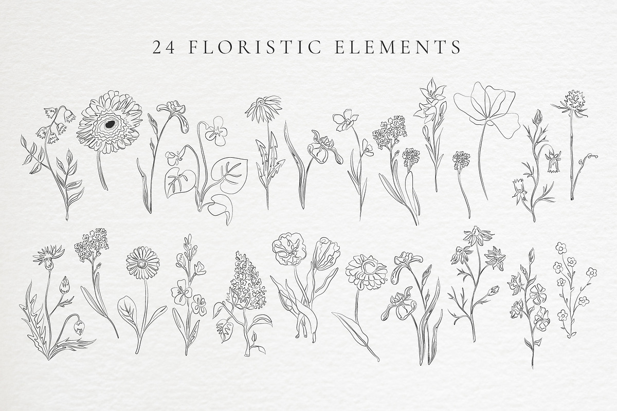 Floristic line art illustrations, a Decorative Illustration by La Petite Line Art (Photo 3 of 10)