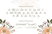 Manakala | New Style Calligraphy, a Handwritten Font by filosovis (Thumbnail 2 of 5)