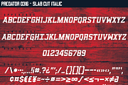 Predator 0316 - Full Family, a Sans Serif Font by Eargle Design, LLC (Thumbnail 16 of 20)
