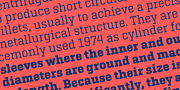 Geogrotesque Slab, a Slab Serif Font by Emtype Foundry (Thumbnail 3 of 11)