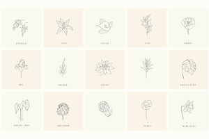 Botanical Hand Drawn Designs, Logos