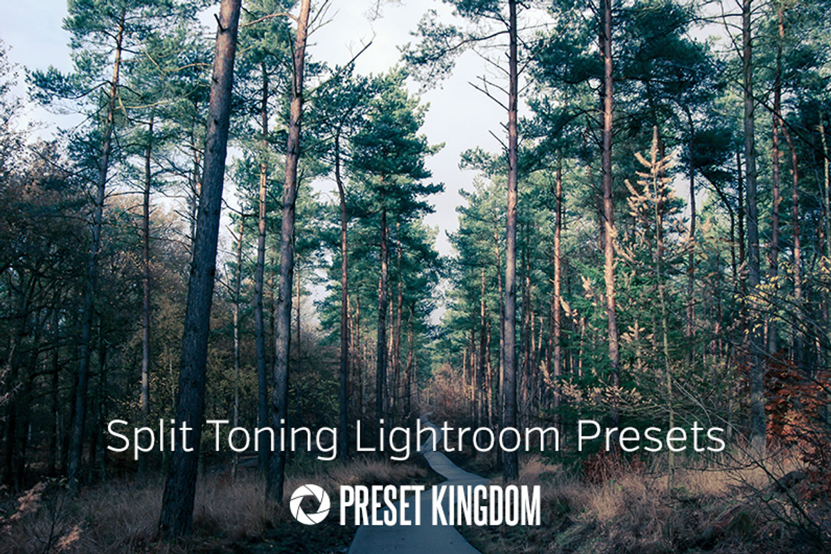 Split Toning Lightroom Presets, an Action Add-On by PresetKingdom.com (Photo 5 of 5)