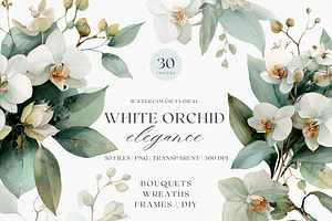 White Orchid Watercolor Clipart