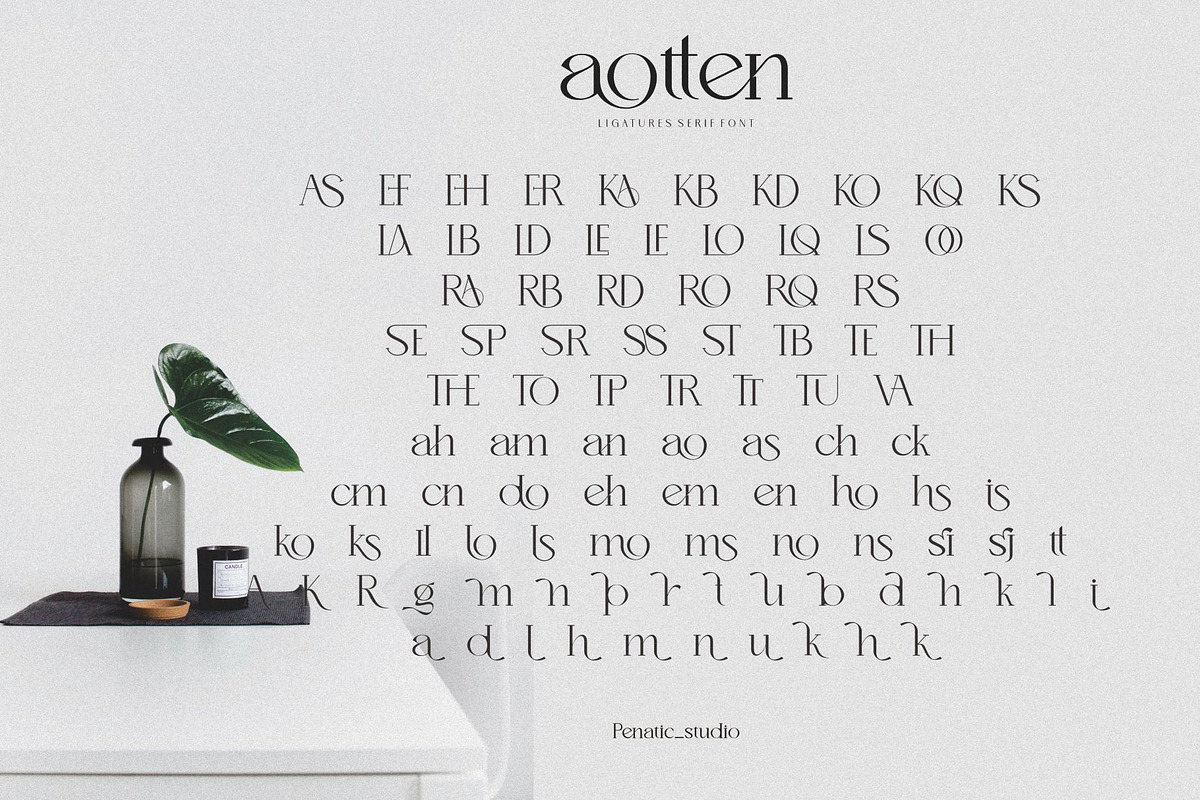 Aotten, a Serif Font by Penatic Studio (Photo 9 of 10)