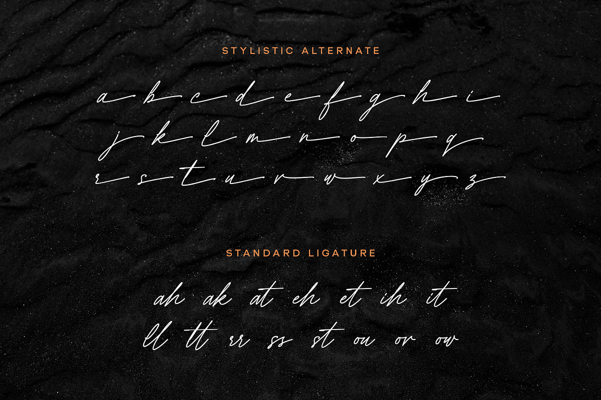 Showtilla Signature Script Font, a Handwritten Font by ianmikraz (Photo 6 of 7)