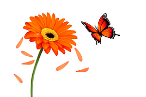 Nature Summer Flower With Butterfly