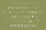 Awsirnam - Aesthetic Serif Font, a Serif Font by Enxyclo Studio (Thumbnail 25 of 29)