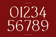 CS Belgita Drawn, a Serif Font by Craft Supply Co. (Thumbnail 5 of 8)