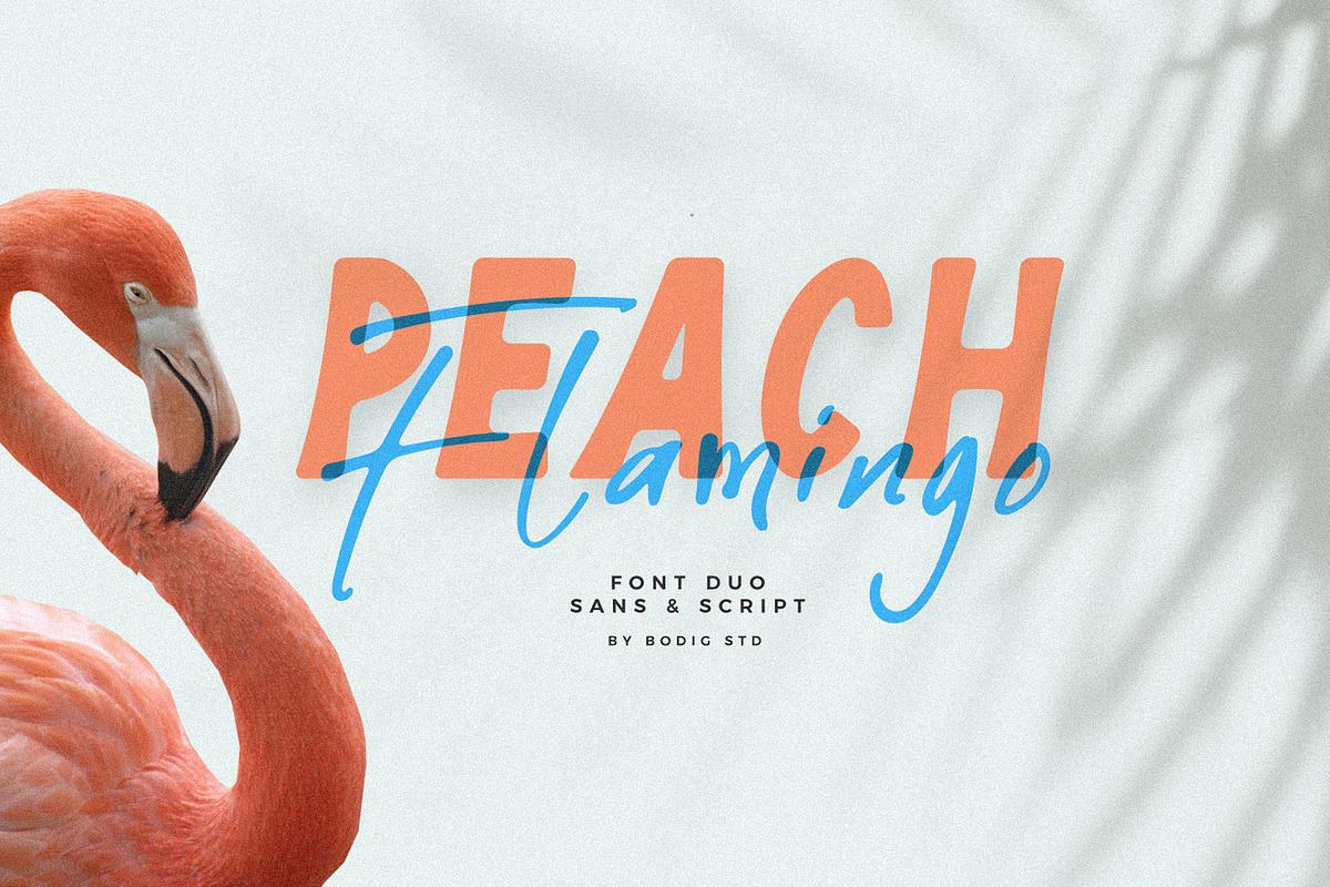 Peach Flamingo Font Duo, a Font by BodigStd (Photo 1 of 8)