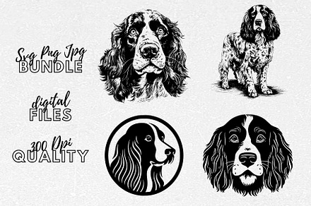 English Springer Spaniel Dog SVG