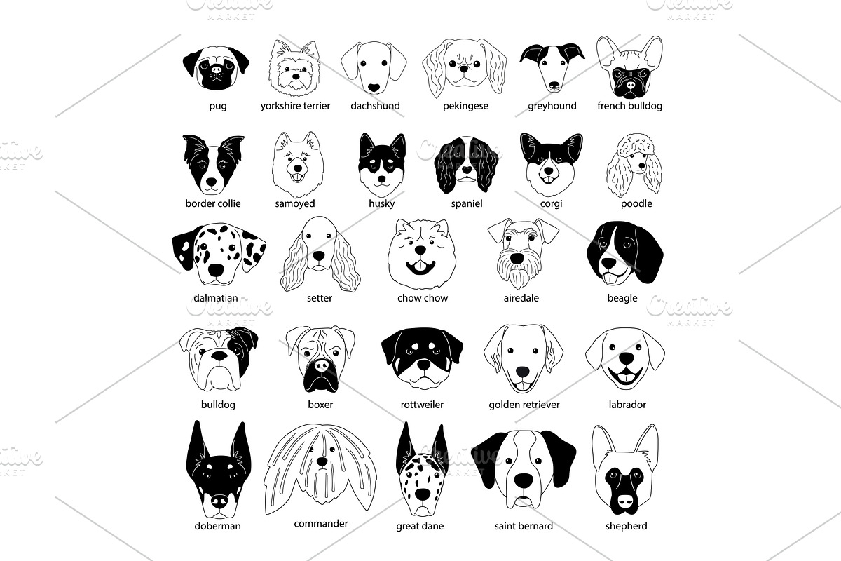Different dogs heads collection of, an Animal Illustration by Stock-Smart-Start