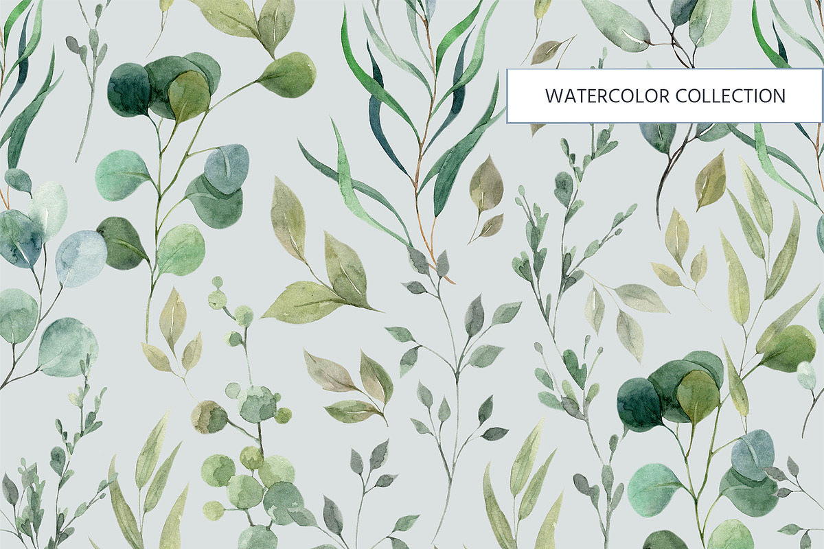 Herbal watercolor collection, a Pattern Graphic by HannaStudio (Photo 7 of 8)