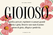 CS Reigate – Classic Font, a Serif Font by Craft Supply Co. (Thumbnail 5 of 8)