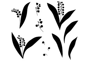 Iilies Of The Valley Flowers Vector