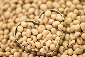 Soy bean on heart