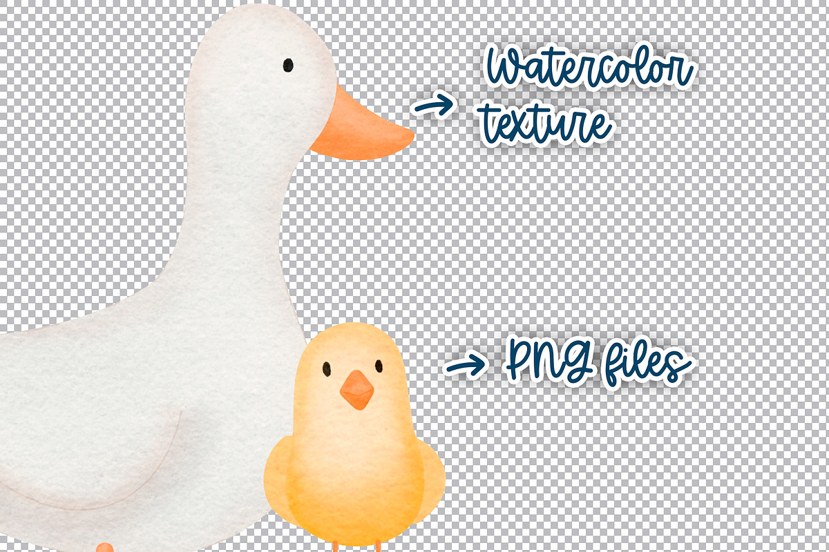 Cute Ducks watercolor set, an Animal Illustration by Bololota Studio (Photo 2 of 3)
