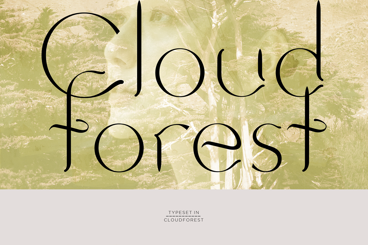 Cloudforest. Chic, modern serif font, a Serif Font by LostandFoundry (Photo 1 of 5)