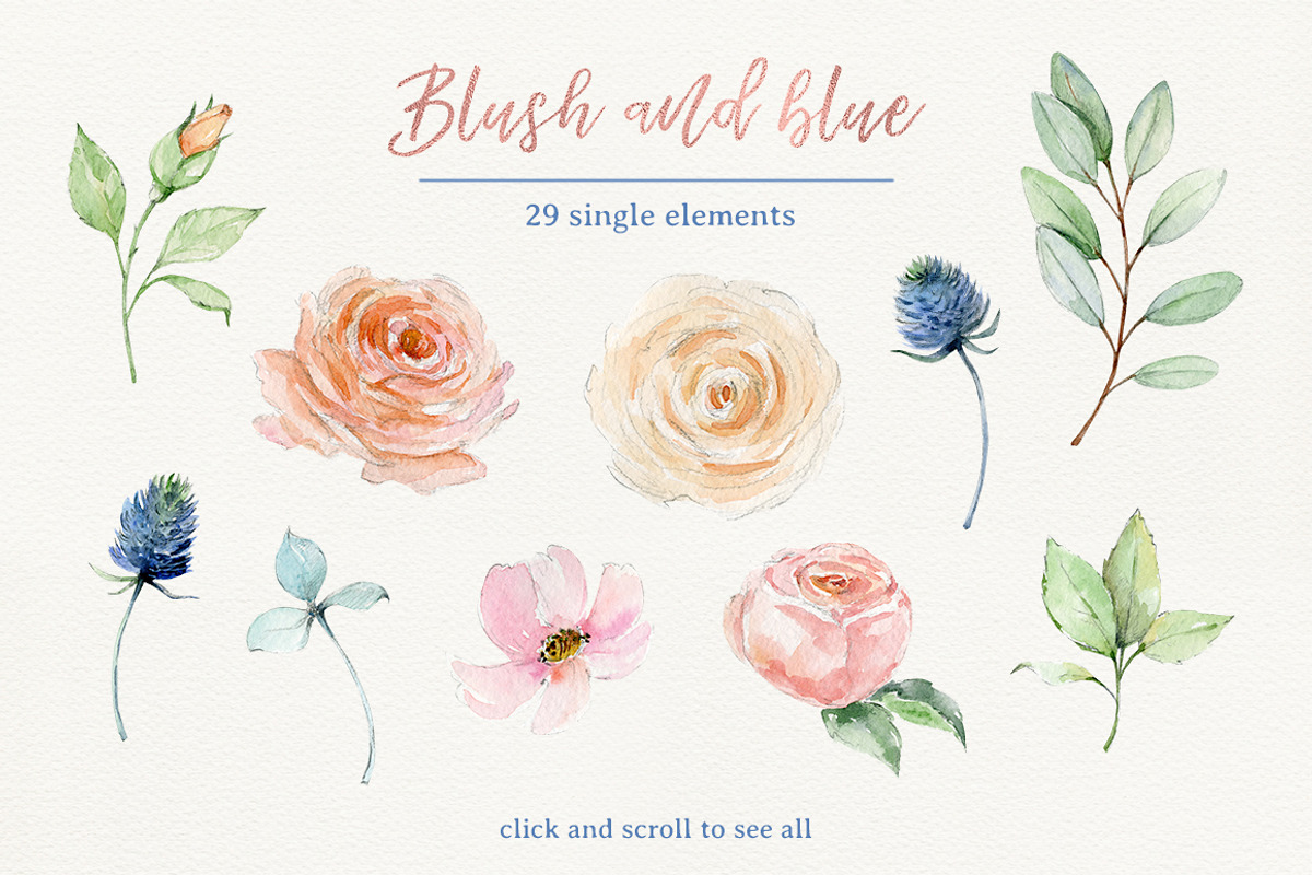 Blush and blue - watercolor clipart, a Decorative Illustration by long summer (Photo 6 of 8)