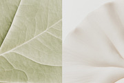 120 Calm Nature Texture Backgrounds, a Background Graphic by Make Stories Studio (Thumbnail 10 of 13)