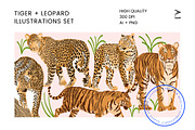 Tiger & Leopard Vector Illustrations, an Animal Illustration by Human-made. Made to feel. (Thumbnail 1 of 2)