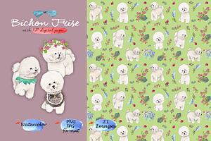 Bichon Frise Clipart Digital Paper