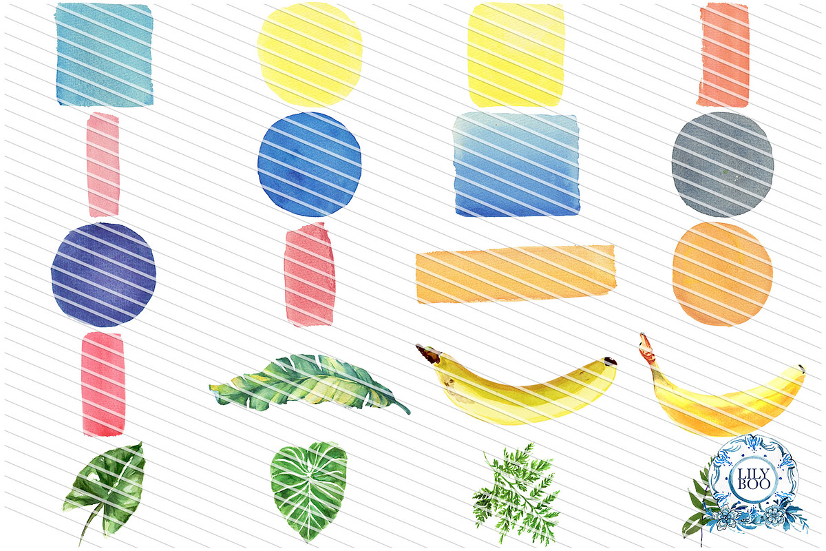100+ Australian Animals Watercolour, an Animal Illustration by LilyBoo Clipart (Photo 5 of 5)