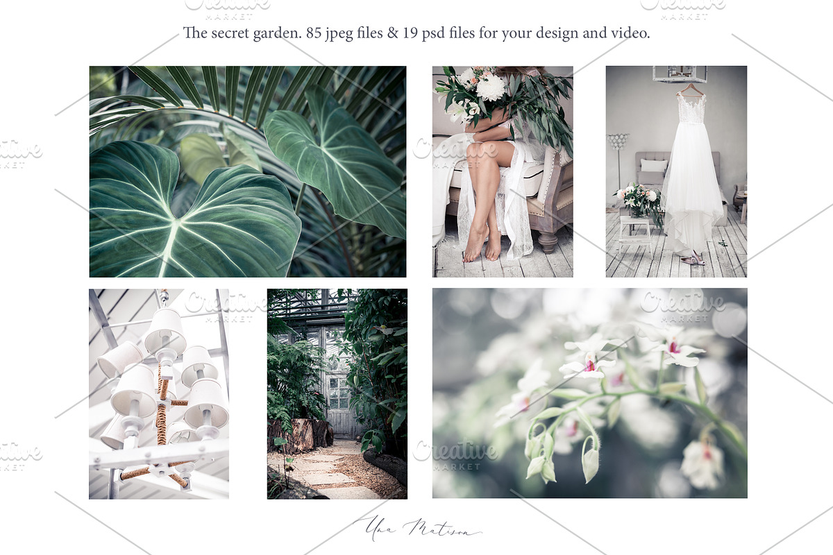 Photo bundle+bonus, a Social Media Template by Una Matison (Photo 11 of 21)
