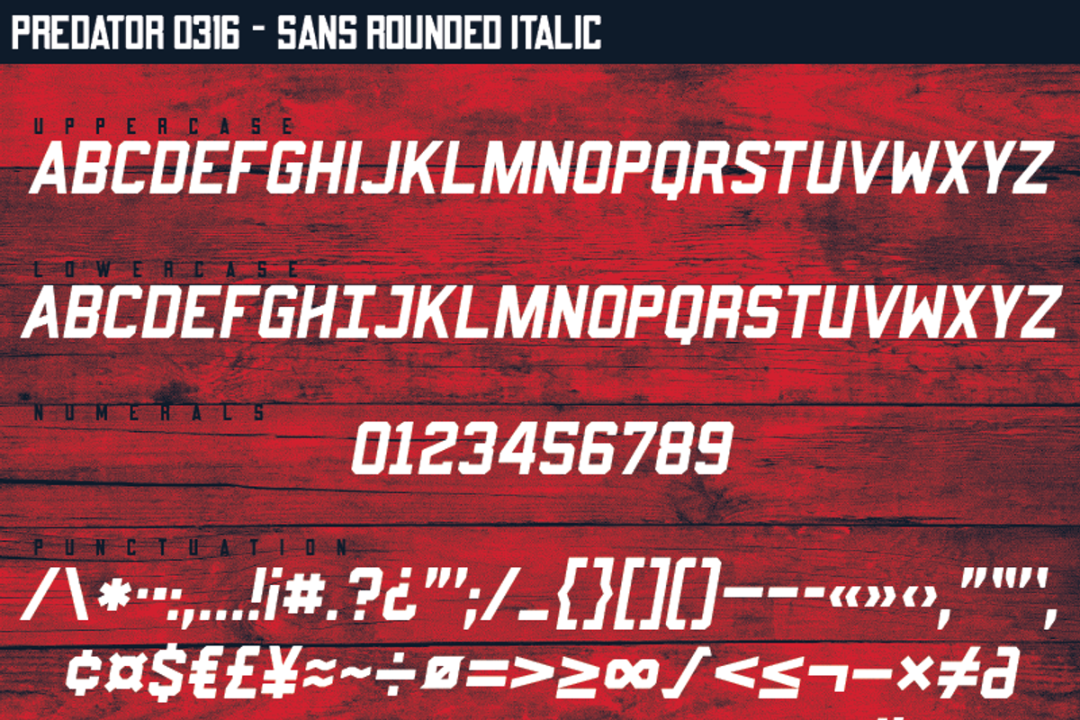 Predator 0316 - Full Family, a Sans Serif Font by Eargle Design, LLC (Photo 11 of 20)