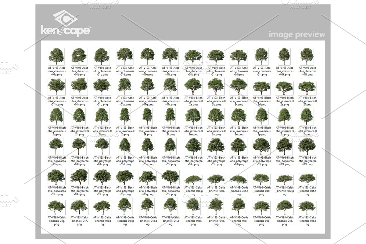 72 Assorted Trees Photo Overlays, a Nature Photo by KenScape (Photo 3 of 3)