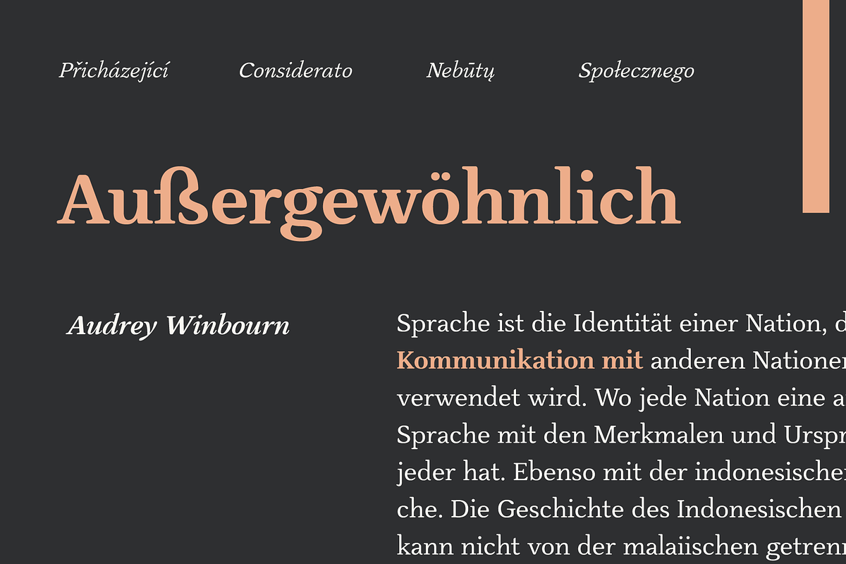 Slippery; Warm Serif, a Serif Font by Eko Bimantara (Photo 7 of 11)