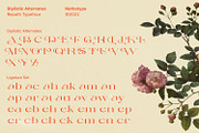 Repath, a Serif Font by Nathatype (Thumbnail 10 of 10)