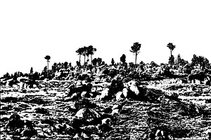 Rocky rural terrain with vegetation