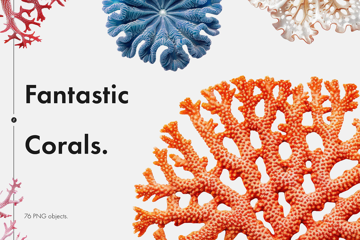 Fantastic Corals, an Object Graphic by Freezerondigital (Photo 1 of 10)