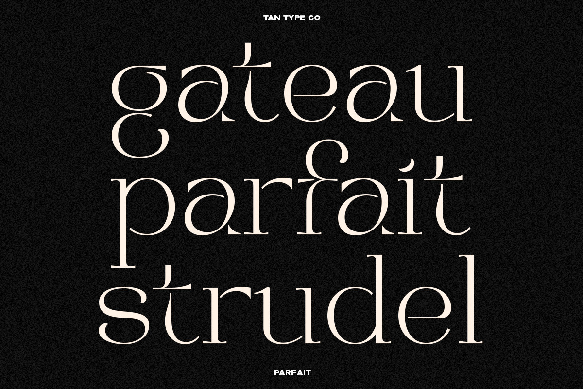 TAN - PARFAIT, a Serif Font by TanType (Photo 21 of 21)