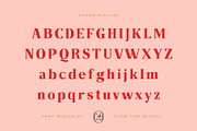 Honor Display, a Serif Font by PiiNK iiNK STUDiO (Thumbnail 2 of 11)